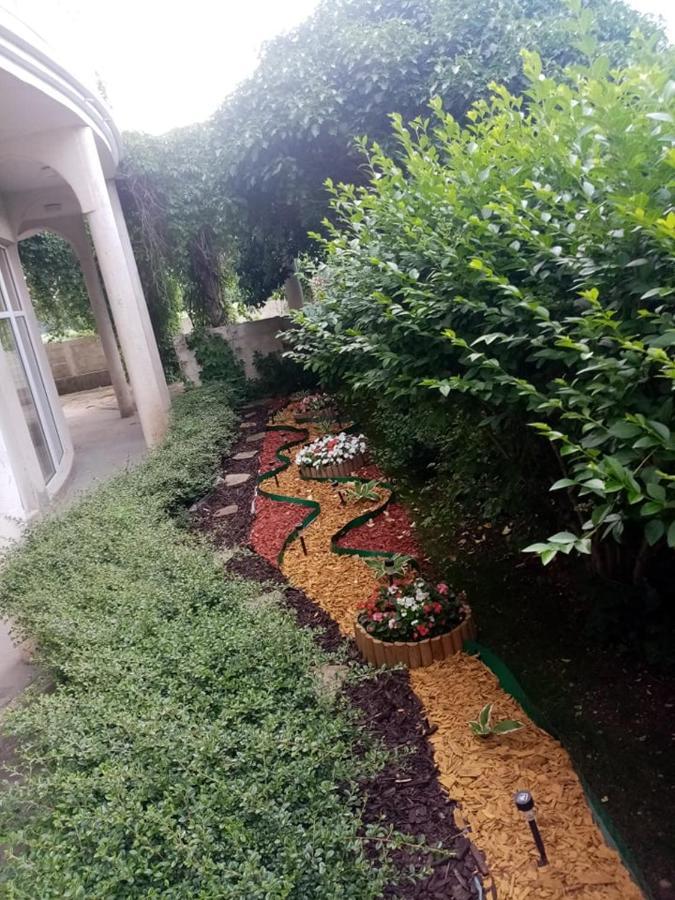 קרנבו Pancho Family Hotel מראה חיצוני תמונה
