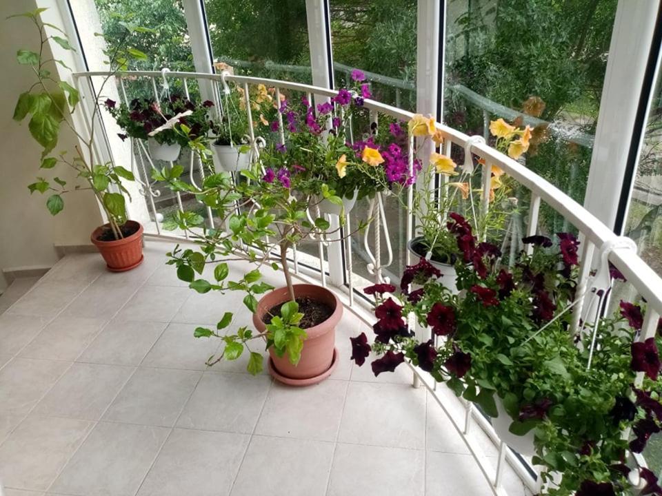 קרנבו Pancho Family Hotel מראה חיצוני תמונה