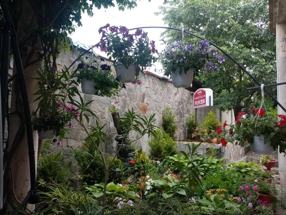 קרנבו Pancho Family Hotel מראה חיצוני תמונה